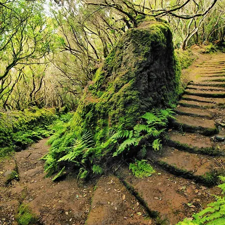 Апартаменты Chocolate Rustic Apartment, In Тегесте